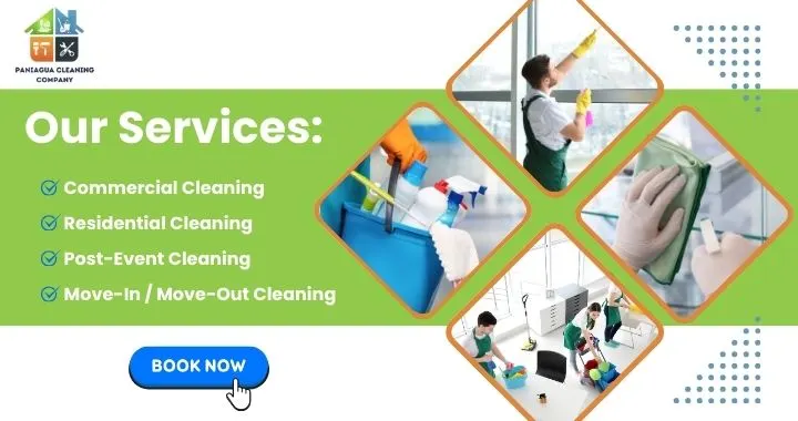 Window Cleaning Services